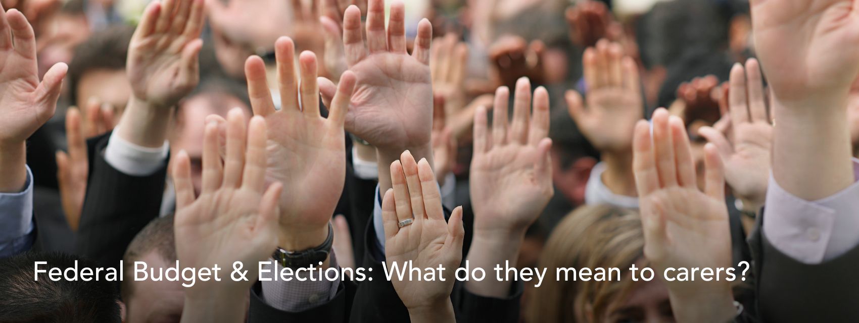 budget and elections